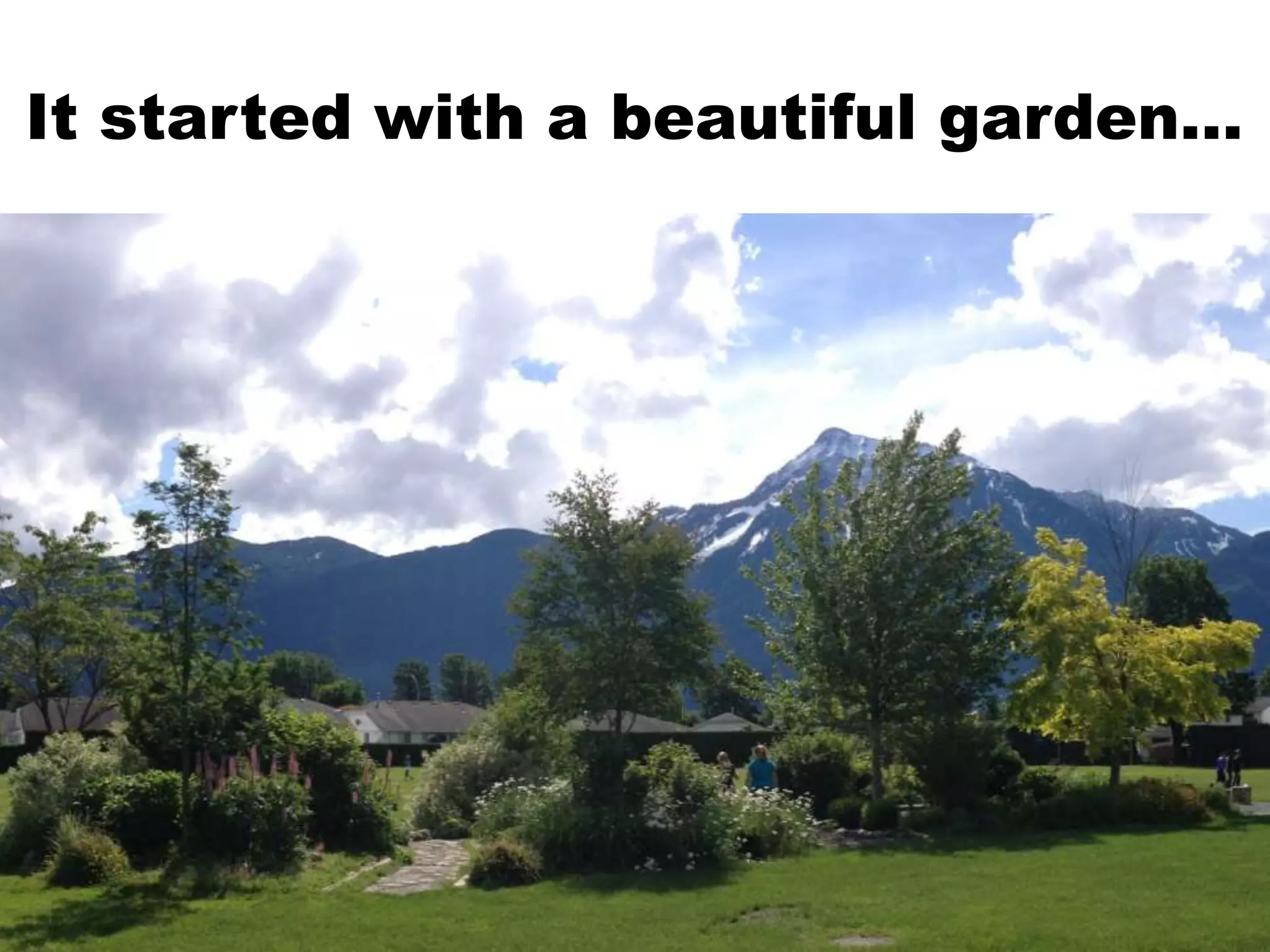 It started with a beautiful garden…