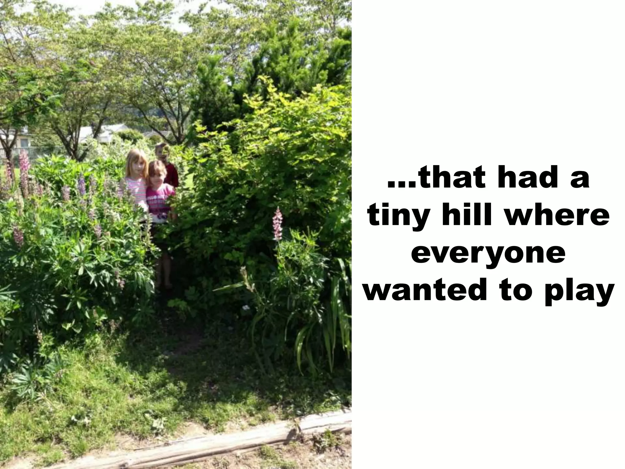 …that had a
tiny hill where
everyone
wanted to play