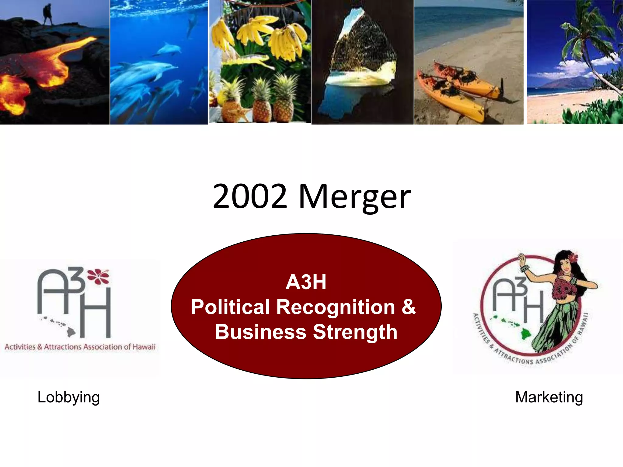 2002 Merger
A3H
Political Recognition &
Business Strength
Lobbying Marketing
 