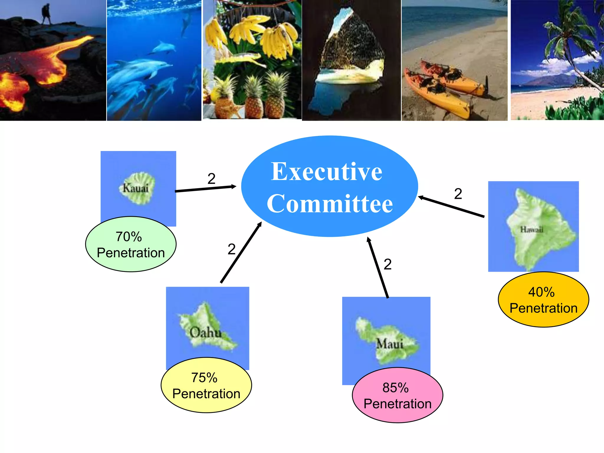 Executive
Committee
70%
Penetration
85%
Penetration
75%
Penetration
40%
Penetration
2
2
2
2
 