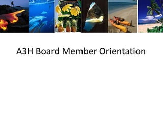 A3H Board Member Orientation
 