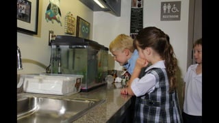 2014 Oakridge First Week Slide Show