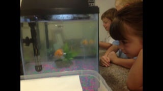 2014 Oakridge First Week Slide Show