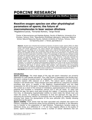PORCINE RESEARCH
International Journal of the Bioflux Society
Review

Reactive oxygen species can alter physiological
parameters of sperm; the future of
macromolecules in boar semen dilutions
1

Magdalena Cuevas, 1Fernando Romero, 2Jorge Parodi
1

Center of Neurosciences and Peptides Biology, Faculty of Medicine, University of La
Frontera, Temuco, Chile; 2Reproduction Physiology Laboratory, Veterinary Medicine
School, Natural Resources Faculty, Catholic University of Temuco, Temuco, Chile.
Correponding autor: J. Parodi, japrodi@uct.cl

Abstract. Studies have indicated that excessive production of reactive oxygen species (ROS) can affect
cellular signalling pathways. In reproductive health, the biotechnological manipulation of sperm used for
human and animal reproduction can induce thermal and biochemical changes that increase ROS
generation, causing effects such as decreased motility and a reduced fertilization potential. To prolong
sperm viability, these effects can be partially offset through the use of seminal fluid diluents. Such
diluents are classified into two main groups: those used for short-term preservation (1-3 days) and those
used for long-term preservation (more than 4 days). The advantages of using long-term diluents include
the ability to transport semen over long distances, which allows diagnostic testing to be performed, for
example, by applying PCR techniques, before the semen is used. However, it has been reported that
despite extending the lifespan of sperm, these dilution methods do not significantly improve its
fertilization capacity. ROS modulators can produce a protective effect on sperm cell membranes, which
benefits semen used for artificial insemination or subjected to storage (chilled or cryopreserved).
Therefore, it is important to identify pharmacological properties over time as well as the concentration
dependency of diluents; to estimate the oxidative stress status of a sample in the presence of a diluent
by measuring ROS levels in seminal plasma, DNA oxidation, lipid peroxidation and mitochondrial
enzymatic activity at different temperatures and storage times; and to examine the reducing effects of
macromolecules under induced oxidative stress conditions on the physiological properties of sperm.
Key Words: porcine sperm, viability, reactive oxygen species.

Introduction.
Sperm physiology. The initial stages of the egg and sperm interaction are primarily
dependent on male gamete activation. Thus, after semen is deposited in the female tract,
the sperm undergo a process known as "capacitation", which prepares the sperm for the
acrosome reaction (AR) (Darszon et al 2007). The mature sperm undergo several
changes in the female tract. These changes have been defined as a sequence of complex
processes that occur in parallel in the flagellum (hyperactivation) and the head
(preparation for AR) of the sperm. Reorganization of the plasma membrane also occurs in
this context as a result of the removal of cholesterol, hyperpolarization of the membrane
potential and increases in intracellular calcium (Ca2+i) and pH levels. To reach and
fertilize the egg, the sperm must pass through four stages: 1) becoming motile for the
first time, 2) developing hyperactivated motility to travel inside the female tract and
reach the oocyte, 3) undergoing chemotaxis to find and approach the egg and 4)
executing the acrosome reaction via exocytosis with the purpose of releasing hydrolytic
enzymes that cleave the glycoproteins of the zona pellucida (ZP), thereby allowing
penetration by the sperm.
Sperm viability. Fresh semen that has been ejaculated and collected (the sperm-rich
fraction) undergoes mechanical stress during processing and handling in the laboratory
due to transfer or the preparation of rapid dilutions. Temperature variation poses an
additional stress, as a difference of  1˚C can have negative effects on the quality of
semen. Sperm handling procedures involve a number of cellular alterations that can
Porcine Research, 2013, Volume 3, Issue 2.
http://www.porc.bioflux.com.ro/

40

 