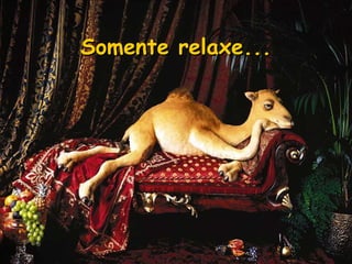 Somente relaxe... 