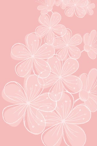 Boas praticas 2015_final_web