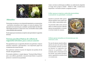 Assim, com base na informação recolhida e no conhecimento adquirido
ao longo deste projecto (AGRO – DE&D n.º 828), consideramos
importante e necessário atender às seguintes normas:
No caso do míscaro amarelo utilizar
apenas um pau com ponta afiada
ou um formão, de forma a levantar
ou destacar os cogumelos sem
remover ou perturbar o solo,
evitando assim a destruição local
do micélio, que poderá produzir
outros cogumelos no mesmo local
e no mesmo ano.
Quando se pretende colher apenas
míscaro amarelo é esta a espécie que
se deve colher e mais nenhum outro.
Ao pretender colher outros, deverá
saber-se conhecê-los bem colhendo
apenas nas quantidades a consumir
e em bom estado de consumo.
Colher apenas as espécies conhecidas (pretendidas)
e unicamente na quantidade a consumir.
Utilizar apenas utensílios ou ferramentas que não
removam o solo
Mutualista
Neste grupo encontram-se com destacada importância os ectomicorrizas
– associações mutualistas entre fungos e as raízes de plantas. Estas
associações são essenciais para a sanidade e produtividade das florestas;
Estes fungos associam-se a outros seres vivos, com benefício mútuo (ambos
retiram benefícios desta associação);
É neste grupo que encontramos as espécies mais apreciadas de cogumelos
silvestres.
Normas para Boas Práticas de colheita de
cogumelos silvestres (para o míscaro amarelo)
Para garantirmos que os cogumelos silvestres (em particular o míscaro
amarelo) continuem a desempenhar o seu importante papel nos
ecossistemas das nossas florestas;
Para podermos usufruir do prazer de degustar este produto de tão
elevado valor gastronómico;
É necessário estabelecer e cumprir algumas “Normas de Boas Práticas”
para a sua colheita, garantindo a sua preservação futura e se possível
promover o aumento da sua produção.
3
 