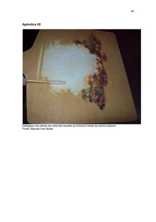 40 
Apêndice 02 
Esfregaço nas placas de corte das escolas do Extremo Oeste de Santa Catarina. 
Fonte: Marcela Ines Muller 
 