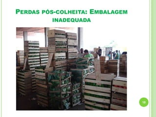 PERDAS PÓS-COLHEITA: EMBALAGEM
INADEQUADA

10

 