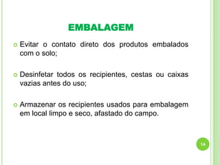EMBALAGEM


Evitar o contato direto dos produtos embalados
com o solo;



Desinfetar todos os recipientes, cestas ou caixas
vazias antes do uso;



Armazenar os recipientes usados para embalagem
em local limpo e seco, afastado do campo.

14

 