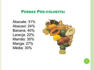 PERDAS PÓS-COLHEITA:
Abacate: 31%
Abacaxi: 24%
Banana: 40%
Laranja: 22%
Mamão: 30%
Manga: 27%
Média: 30%

3

 