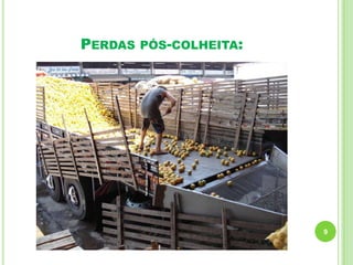 PERDAS

PÓS-COLHEITA:

9

 