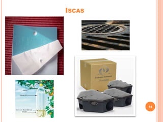 ISCAS

14

 