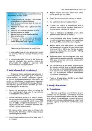 Boas Práticas de Produção de Suínos | 11
Determinação do tamanho de uma colônia:
• A observação visual de ratos à noite, com o uso
de lanterna, indica a presença desses animais
na área;
• A visualização deles durante o dia, pode ser
sinal de infestação alta, quando o instinto de
preservação da espécie é superado pela
necessidade de busca de alimento.
5. Material genético (reprodutores)
A base de toda a exploração agropecuária é
o material genético, razão pela qual se deve dar
toda a atenção à sua escolha e aquisição. A garan-
tia de uma boa produtividade tem como ponto de
partida os reprodutores, os quais devem responder
positivamente às condições ambientais que lhes se-
rão impostas, gerando animais de abate que aten-
dam às exigências do mercado.
• Adquirir os reprodutores, leitoas e machos, de
uma mesma origem, de granjas de reprodutores
suídeos certificadas (GRSC);
• Utilizar machos de raça pura ou sintética ou ain-
da cruzados que apresentem um ganho de peso
médio diário mínimo de 690 g (100 kg aos 145
dias de idade) com percentual de carne na car-
caça acima de 60%, conversão alimentar infe-
rior a 2,3 e com bons aprumos;
• Os machos devem ser de raças ou linhagens de
linha macho, diferentes, portanto, daquelas que
deram origem às leitoas;
• Adquirir os primeiros machos com idade entre 7
e 8 meses;
• Adquirir machos cerca de 2 meses mais velhos
que as leitoas que irão cobrir;
• Dispor de, no mínimo, dois machos na granja;
• Dar preferência à inseminação artificial;
• Quando não utilizar a inseminação artificial
manter a proporção de 1 macho para cada 20
fêmeas (leitoas e porcas) do plantel;
• Repor os machos na taxa de 80% ao ano (idade
aproximada de descarte 24 meses);
• Utilizar leitoas de linha fêmea cruzadas, prefe-
rencialmente de raças brancas, com capacidade
de produzir 12 ou mais leitões por leitegada;
• Adquirir leitoas com idade entre 5 e 6 meses,
que apresentem um ganho de peso médio diário
mínimo de 650 g (100 kg aos 154 dias de idade)
e espessura de toucinho, entre os 90 e 100 kg,
próximo de 15 mm;
• As leitoas devem ser adquiridas em lotes equi-
valentes aos grupos de gestação, acrescidos de
15%, para compensar retornos e outros proble-
mas reprodutivos;
• Em complementação aos dados de produtivida-
de, atenção especial deve ser dada à qualidade
dos aprumos, a integridade dos órgãos reprodu-
tivos, ao número e distribuição das tetas (míni-
mo 12) e as condições sanitárias apresentadas
no momento da aquisição;
• Repor as fêmeas na taxa de 40% ao ano (idade
aproximada de 36 meses).
6 Manejo dos animais
6.1 Pré-cobrição
Quando as práticas recomendadas de pré-
cobrição não são adotadas, aumenta os riscos de
diminuição do desempenho reprodutivo dos animais
e da vida útil de reprodutores, o que pode levar ao
comprometimento da produtividade do rebanho de
suínos e à perda de benefícios econômicos para o
produtor.
Inspecionar a propriedade para identificar sinais
da presença de ratos, como:
• O aparecimento de “carreiros” (trilhas) sem
vegetação próxima às instalações;
• Sons de movimento dos ratos, à noite, em
paióis e casas;
• Presença de fezes, urina e pêlos nas insta-
lações;
• Roeduras (buracos nas paredes, sacaria);
• Marcas de patas na poeira;
• Marcas de gordura nas paredes e vigas;
• Odor característico;
• Presença de ninhos com restos de alimento;
• A agitação dos predadores ao entrarem
nesses ambientes (cães e gatos).
 