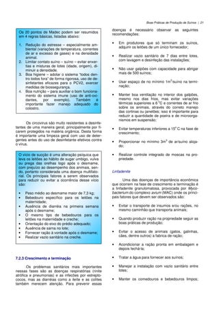 Boas Práticas de Produção de Suínos | 21
Os circovirus são muito resistentes a desinfe-
tantes de uma maneira geral, principalmente por fi-
carem protegidos na matéria orgânica. Desta forma
é importante uma limpeza geral com uso de deter-
gentes antes do uso de desinfetante efetivos contra
o vírus.
7.2.3 Crescimento e terminação
Os problemas sanitários mais importantes
nessas fases são as doenças respiratórias (rinite
atrófica e pneumonias) e as infecões por estrepto-
cocos, mas as diarréias como a ileíte e as colítes
também merecem atenção. Para prevenir essas
doenças é necessário observar as seguintes
recomendações:
• Em produtores que só terminam os suínos,
adquirir os leitões de um único fornecedor;
• Realizar vazio sanitário de 7 dias entre lotes,
com lavagem e desinfeção das instalações;
• Não usar galpões com capacidade para abrigar
mais de 500 suínos;
• Usar espaço de no mínimo 1m
2
/suíno na termi-
nação;
• Manter boa ventilação no interior dos galpões,
mesmo nos dias frios, mas evitar variações
térmicas superiores a 6
o
C e correntes de ar frio
sobre os animais, através do correto manejo
das cortinas ou janelões; isso é importante para
reduzir a quantidade de poeira e de microorga-
nismos em suspensão;
• Evitar temperaturas inferiores a 15
o
C na fase de
crescimento;
• Proporcionar no mínimo 3m
3
de ar/suíno aloja-
do;
• Realizar controle integrado de moscas na pro-
priedade.
Linfadenite
Uma das doenças de importância econômica
que ocorrem na fase de crescimento e terminação é
a linfadenite granulomatosa, provocada por Myco-
bacterium do complexo avium (MAC) onde os princi-
pais fatores que devem ser observados são:
• Evitar o transporte de insumos e/ou rações, no
mesmo caminhão que transporta animais;
• Quando produzir ração na propriedade seguir as
boas práticas de produção;
• Evitar o acesso de animais (gatos, galinhas,
cães, dentre outros) a fabrica de ração;
• Acondicionar a ração pronta em embalagem e
depois fechá-la;
• Tratar a água para fornecer aos suínos;
• Manejar a instalação com vazio sanitário entre
lotes;
• Manter os comedouros e bebedouros limpos;
Os 20 pontos de Madec podem ser resumidos
em 4 regras básicas, listadas abaixo:
1. Redução do estresse – especialmente am-
biental (variações de temperatura, correntes
de ar e excesso de gases) e na densidade
animal.
2. Limitar contato suíno – suíno – evitar enxer-
tias e misturas de lotes (idade, origem), di-
minuir a densidade.
3. Boa higiene – adotar o sistema “todos den-
tro todos fora” de forma rigorosa, uso de de-
sinfetantes eficazes para o PCV2, exercer
medidas de biossegurança.
4. Boa nutrição – para auxiliar o bom funciona-
mento do sistema imune (uso de anti-oxi-
dantes, por exemplo). Também é
importante fazer manejo adequado do
colostro.
O vício de sucção é uma alteração psíquica que
leva os leitões ao hábito de sugar umbigo, vulva
ou prega das orelhas logo após o desmame,
com prejuízo ao desempenho dos animais, sen-
do, portanto considerada uma doença multifato-
rial. Os principais fatores a serem observados
para reduzir ou evitar a ocorrência desse vício
são:
• Peso médio ao desmame maior de 7,3 kg;
• Bebedouro específico para os leitões na
maternidade;
• Ausência de diarréia na primeira semana
após o desmame;
• O mesmo tipo de bebedouros para os
leitões na maternidade e creche;
• Orientação do eixo do prédio adequado;
• Ausência de sarna no lote;
• Fornecer ração à vontade após o desmame;
• Realizar vazio sanitário na creche.
 