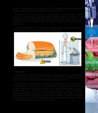 DOENÇAS
TRANSMITIDAS
POR ALIMENTOS E
MICRORGANISMOs
25
contrário dos bolores, que produzem toxinas responsáveis por alergias e até
mesmo o desenvolvimento de câncer em seres humanos.
Encontram-se no meio ambiente e multiplicam-se nos alimentos. Podem
ser vistos sem ajuda do microscópio quando estão reunidos em colônias. Têm
aspecto esponjoso e podem aparecer sob várias cores (preto, cinza, verde), sendo
freqüentemente encontrados em frutas, verduras, pães e queijos (mussarela,
prato etc.).
A melhor forma de prevenir doenças causadas por esses microrganismos é
desprezar alimentos que apresentam bolor indesejado.
Parasitos
Podem ser microscópicos ou macroscópicos (visíveis a olho nu), especialmente
na forma adulta, como, o parasito conhecido como solitária (Taenia), que pode
variar de 2 até 25 metros de comprimento em sua fase adulta.
Assim como os vírus, todos os parasitos precisam de um hospedeiro vivo,
como pessoas e animais, para se desenvolver. Normalmente encontram-se
no trato intestinal das pessoas e animais, em água contaminada e no solo.
Contaminam água e alimentos devido, principalmente, a falhas de higiene,
causando doenças como giardíase (causada pela giárdia), ascaridíase (causadas
pela lombriga), teníase e cisticercose (causada pela solitária), amebíase (causada
pela ameba) e outras, com sintomas que variam desde diarréia, náuseas, vômito
até subnutrição, perda de peso e anemia grave.
 