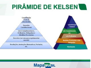 PIRÂMIDE DE KELSEN
 