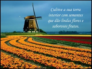 Cultive a sua terra
                 interior com sementes
                 que dão lindas flores e
                    saborosos frutos.




Gps627@superig
 