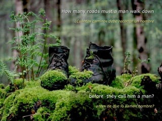 How many roads must a man walk down ¿Cuántos caminos debe recorrer un hombre before  they call him a man? antes de que lo llamen hombre? 