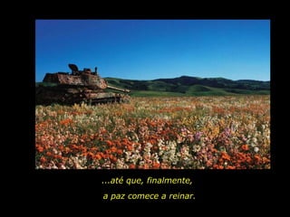 ...até que, finalmente, a paz comece a reinar. 