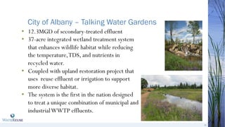 City of Albany – Talking Water Gardens
24
•! 12.3MGD of secondary-treated effluent
•! 37-acre integrated wetland treatment...