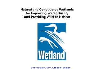 Natural and Constructed Wetlands for Improving Water Quality and Providing Wildlife Habitat Bob Bastian, EPA Office of Water                                                                               
