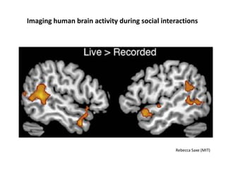 Imaging human brain activity during social interactions
Rebecca Saxe (MIT)
 
