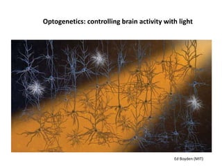 Optogenetics: controlling brain activity with light
Ed Boyden (MIT)
 
