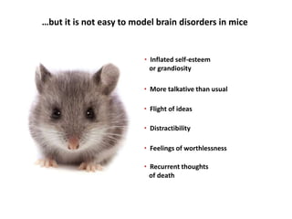 • Inflated self-esteem
or grandiosity
• More talkative than usual
• Flight of ideas
• Distractibility
• Feelings of worthlessness
• Recurrent thoughts
of death
…but it is not easy to model brain disorders in mice
 