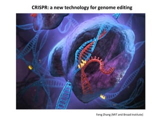 CRISPR: a new technology for genome editing
Feng Zhang (MIT and Broad Institute)
 