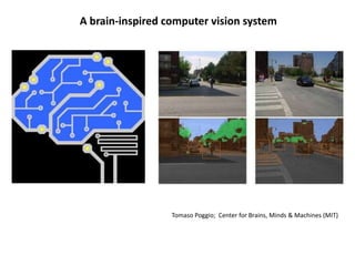 A brain-inspired computer vision system
Tomaso Poggio; Center for Brains, Minds & Machines (MIT)
 