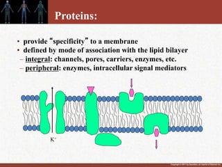 Copyright © 2011 by Saunders, an imprint of Elsevier Inc.
• provide “specificity” to a membrane
• defined by mode of association with the lipid bilayer
– integral: channels, pores, carriers, enzymes, etc.
– peripheral: enzymes, intracellular signal mediators
K+
Proteins:
 