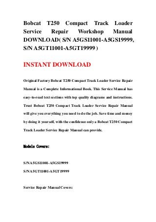 Bobcat T250 Compact Track Loader
Service Repair Workshop Manual
DOWNLOAD( S/N A5GS11001-A5GS19999,
S/N A5GT11001-A5GT19999 )
INSTANT DOWNLOAD
Original Factory Bobcat T250 Compact Track Loader Service Repair
Manual is a Complete Informational Book. This Service Manual has
easy-to-read text sections with top quality diagrams and instructions.
Trust Bobcat T250 Compact Track Loader Service Repair Manual
will give you everything you need to do the job. Save time and money
by doing it yourself, with the confidence only a Bobcat T250 Compact
Track Loader Service Repair Manual can provide.
Models Covers:
S/N A5GS11001-A5GS19999
S/N A5GT11001-A5GT19999
Service Repair Manual Covers:
 