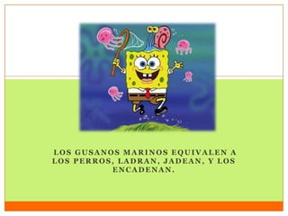 LOS GUSANOS MARINOS EQUIVALEN A
LOS PERROS, LADRAN, JADEAN, Y LOS
ENCADENAN.
 