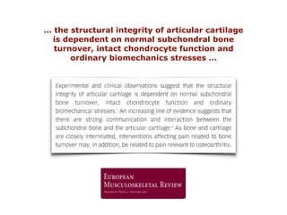 … the structural integrity of articular cartilage
is dependent on normal subchondral bone
turnover, intact chondrocyte function and
ordinary biomechanics stresses …
 