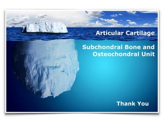 Thank You
Articular Cartilage
Subchondral Bone and
Osteochondral Unit
 