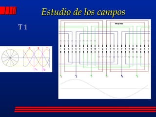 Estudio de los campos magnéticos T 1 