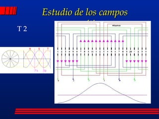 Estudio de los campos magnéticos T 2 