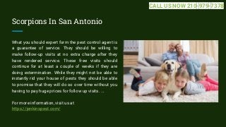 Scorpions In San Antonio
What you should expert form the pest control agent is
a guarantee of service. They should be will...