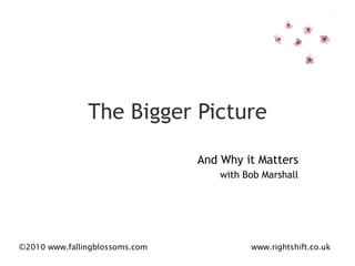 The Bigger Picture And Why it Matters with Bob Marshall 