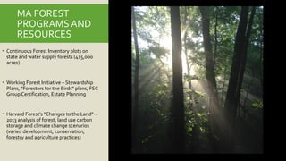 MA FOREST
PROGRAMS AND
RESOURCES
 Continuous Forest Inventory plots on
state and water supply forests (415,000
acres)
 Working Forest Initiative – Stewardship
Plans, “Foresters for the Birds” plans, FSC
Group Certification, Estate Planning
 Harvard Forest’s “Changes to the Land” –
2013 analysis of forest, land use carbon
storage and climate change scenarios
(varied development, conservation,
forestry and agriculture practices)
 