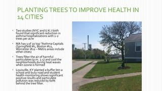 PLANTINGTREESTO IMPROVE HEALTH IN
14 CITIES
 Two studies (NYC and U.K.) both
found that significant reduction in
asthma hospitalizations with 1-2
trees per acre
 MA has 3 of 20 top “Asthma Capitals
(Springfield #1, Boston #11,
Worcester #12 – Metro areas include
other cities)
 Trees filter the air of harmful
particulates (p.m. 2.5) and cool the
neighborhoods during heat waves
when ozone is formed
 Louisville, KY planted a buffer btn a
school and busy road and student
health monitoring shows significant
positive results and particulate
pollution was reduced by 60%
behind the tree filter.
 