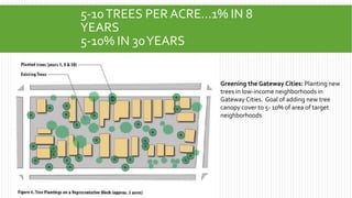 5-10TREES PER ACRE...1% IN 8
YEARS
5-10% IN 30YEARS
7
Greening the Gateway Cities: Planting new
trees in low-income neighborhoods in
Gateway Cities. Goal of adding new tree
canopy cover to 5- 10% of area of target
neighborhoods
 