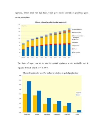 sugarcane, farmers must burn their fields, which spew massive amounts of greenhouse gases
into the atmosphere
The share of sugar cane to be used for ethanol production at the worldwide level is
expected to reach almost 35% in 2019.
 
