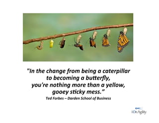  	
  
	
  
"In	
  the	
  change	
  from	
  being	
  a	
  caterpillar	
  
to	
  becoming	
  a	
  bu-erﬂy,	
  
you're	
  nothing	
  more	
  than	
  a	
  yellow,	
  
gooey	
  s=cky	
  mess.”	
  
Ted	
  Forbes	
  –	
  Darden	
  School	
  of	
  Business	
  
 