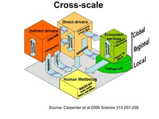 Carrying out scale-relevant collaborative research on drivers of change lessons and insight from SAFMA and other initiatives