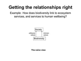 Carrying out scale-relevant collaborative research on drivers of change lessons and insight from SAFMA and other initiatives