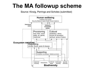 Carrying out scale-relevant collaborative research on drivers of change lessons and insight from SAFMA and other initiatives