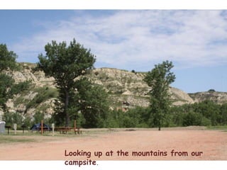 Looking up at the mountains from our campsite.