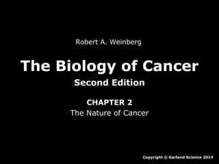 Robert A. Weinberg

The Biology of Cancer
Second Edition
CHAPTER 2
The Nature of Cancer

Copyright © Garland Science 2014

 